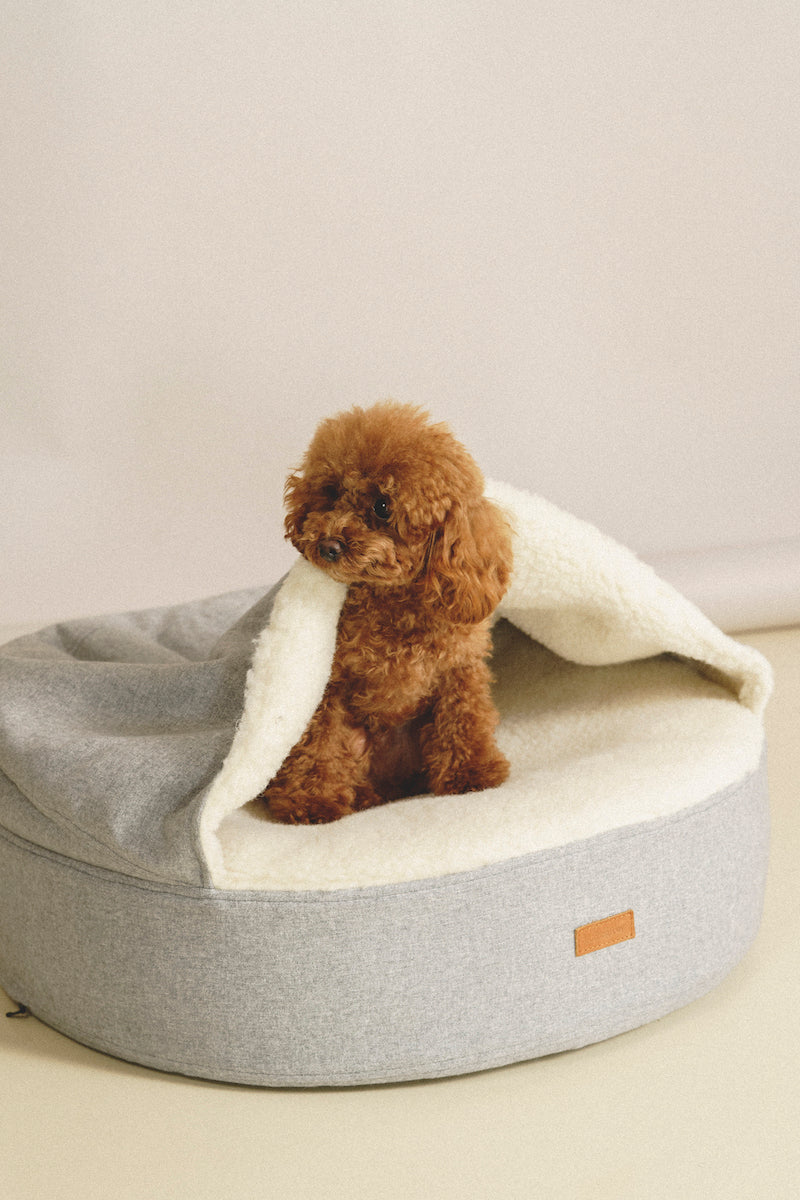 Toy dog outlet bed