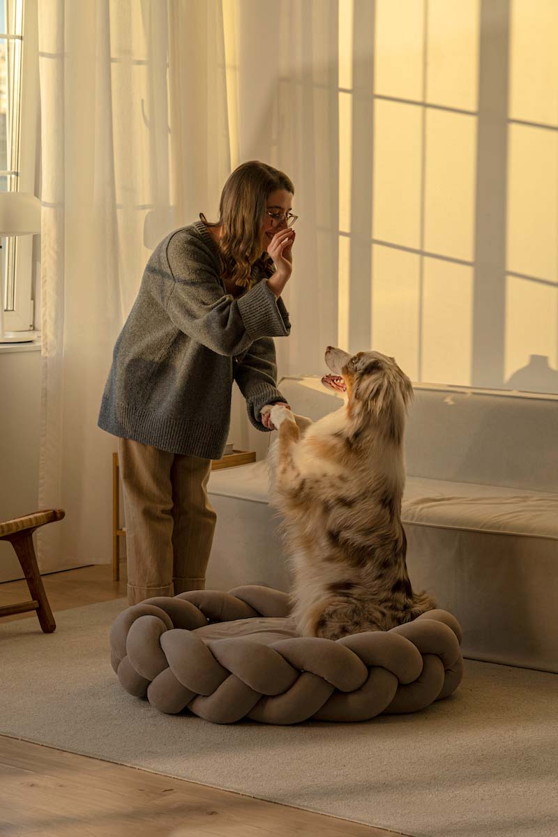 Dog bed Pony kolosony beige