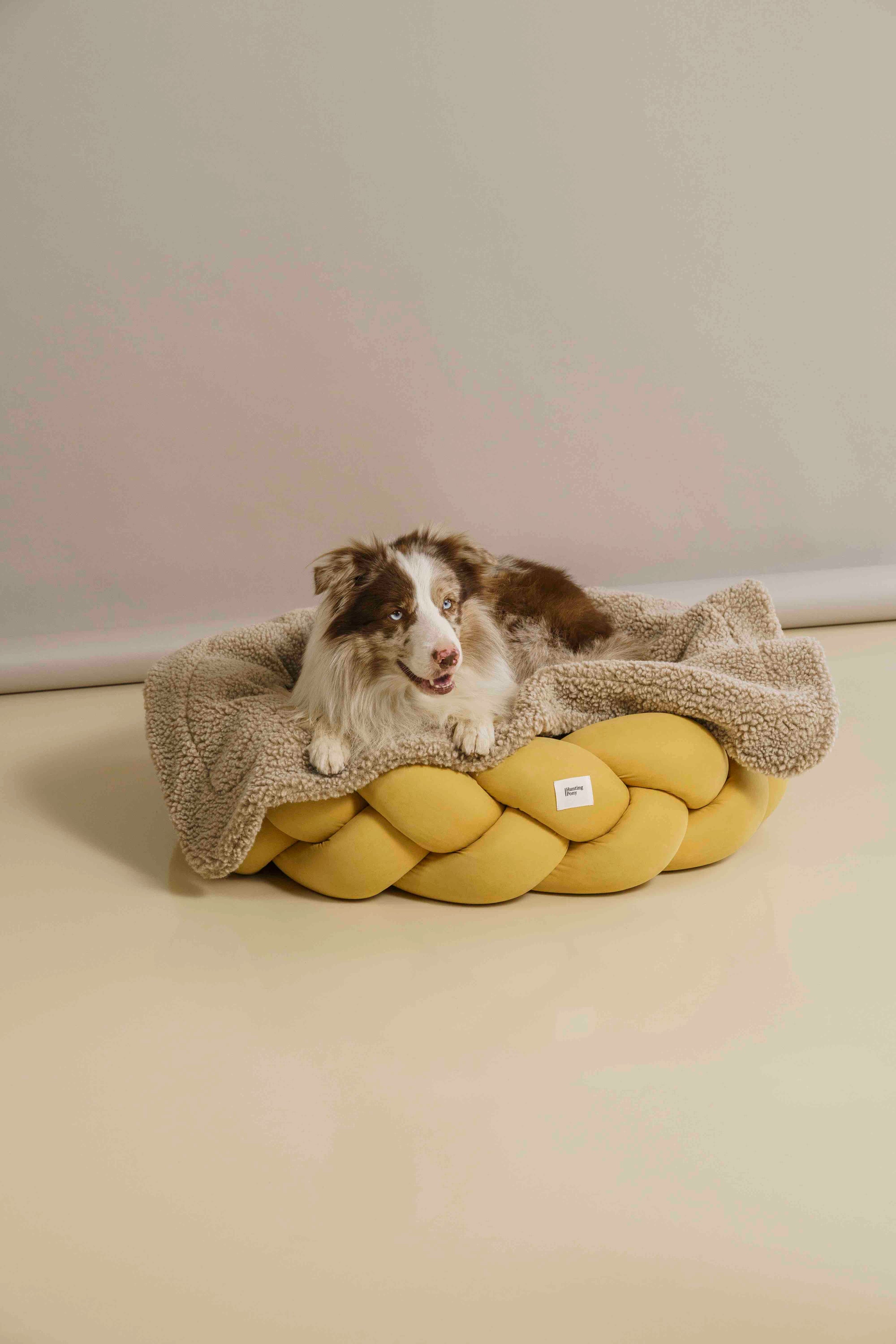 Dog blanket Sleepy-Pony beige