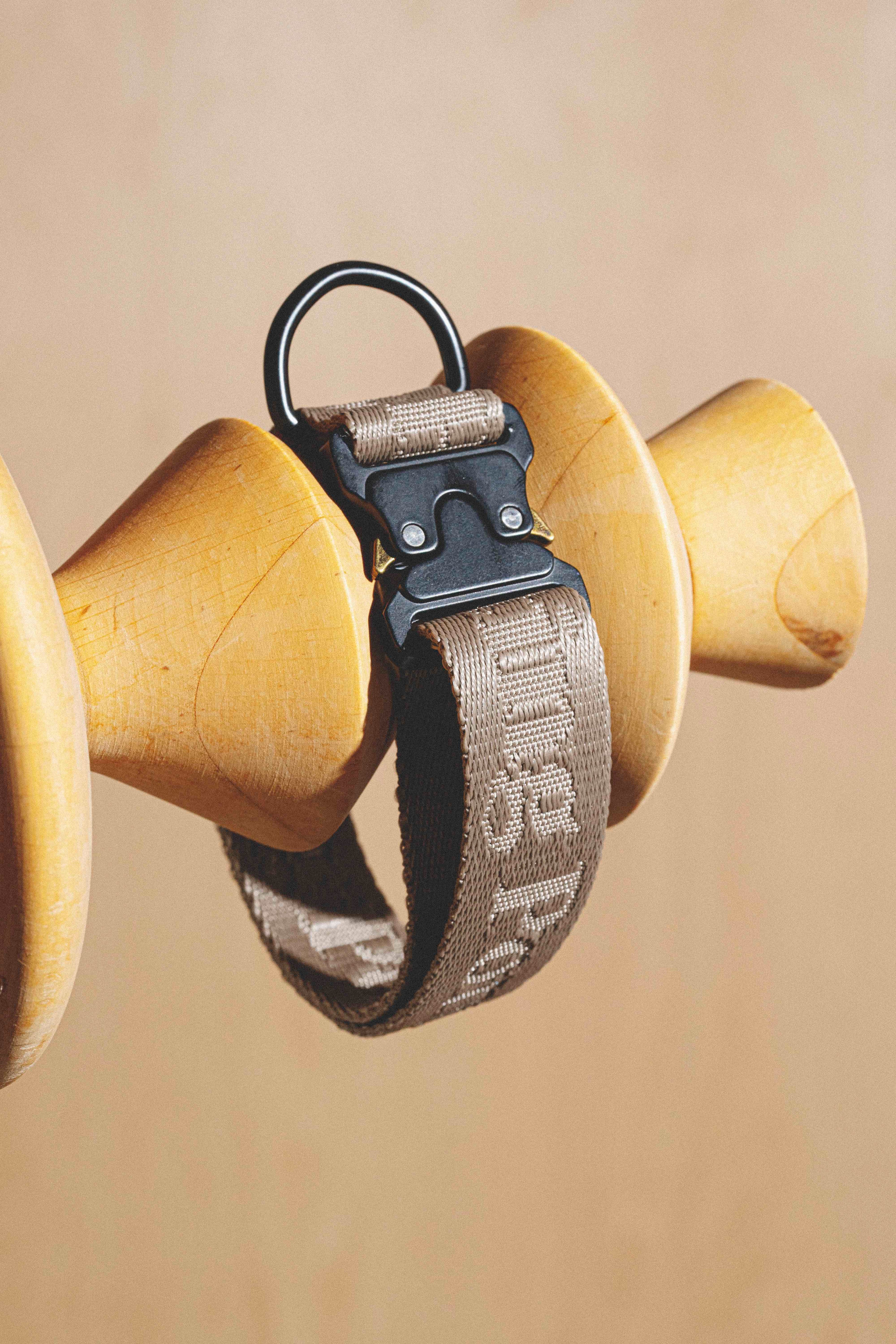 Collar “Pony-Companiony” Gray