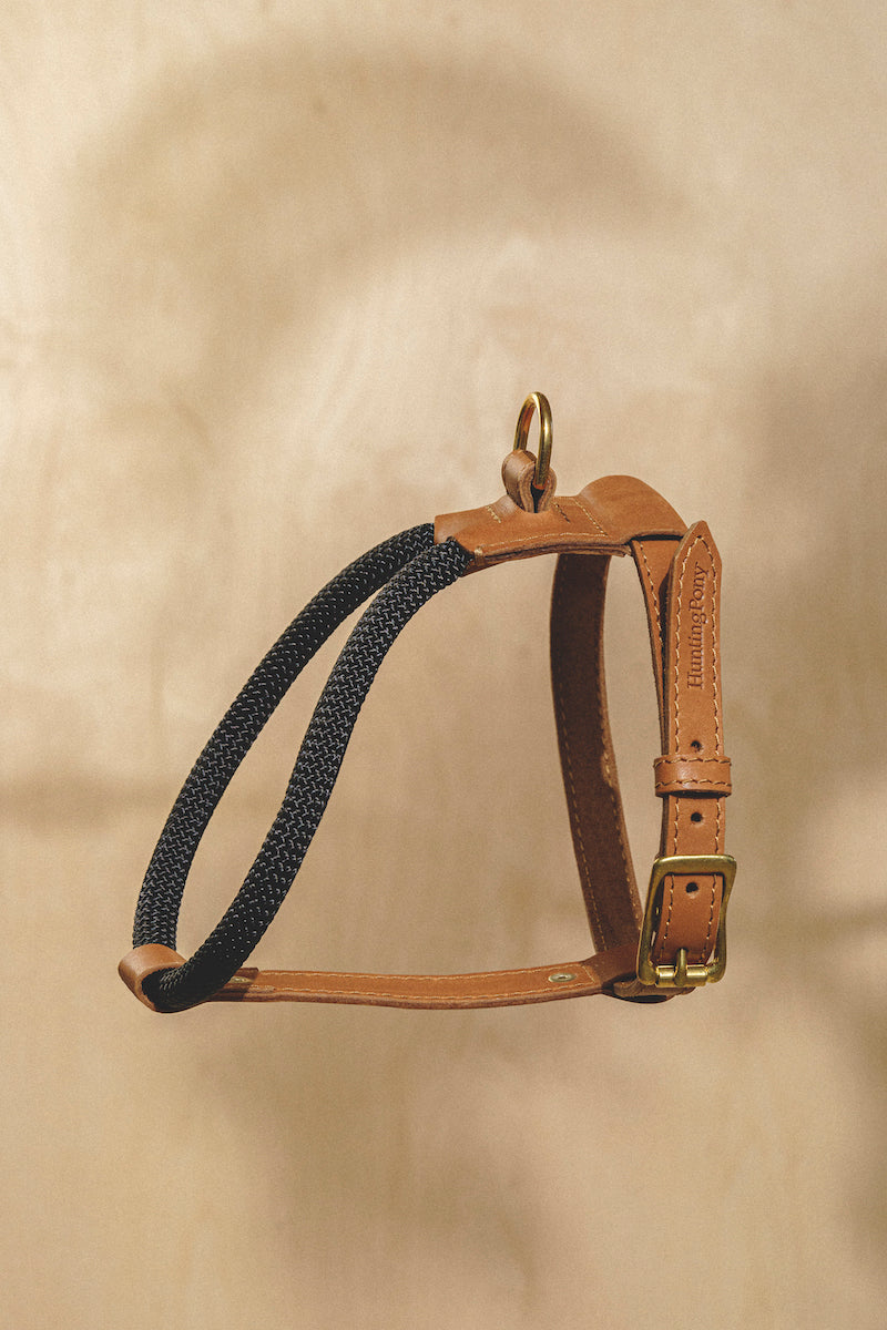 Dog Harness Pony Makarony Ginger