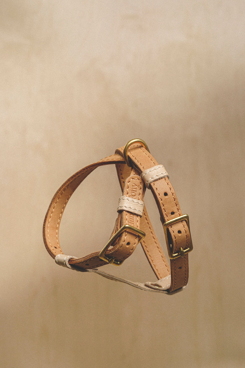Harness Pony-Walkony ginger+beige