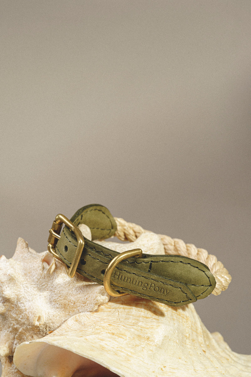 Dog collar country Pony Green