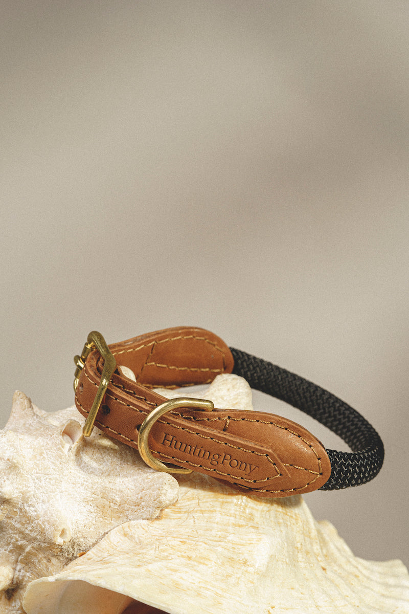 Dog collar Pony makarony ginger