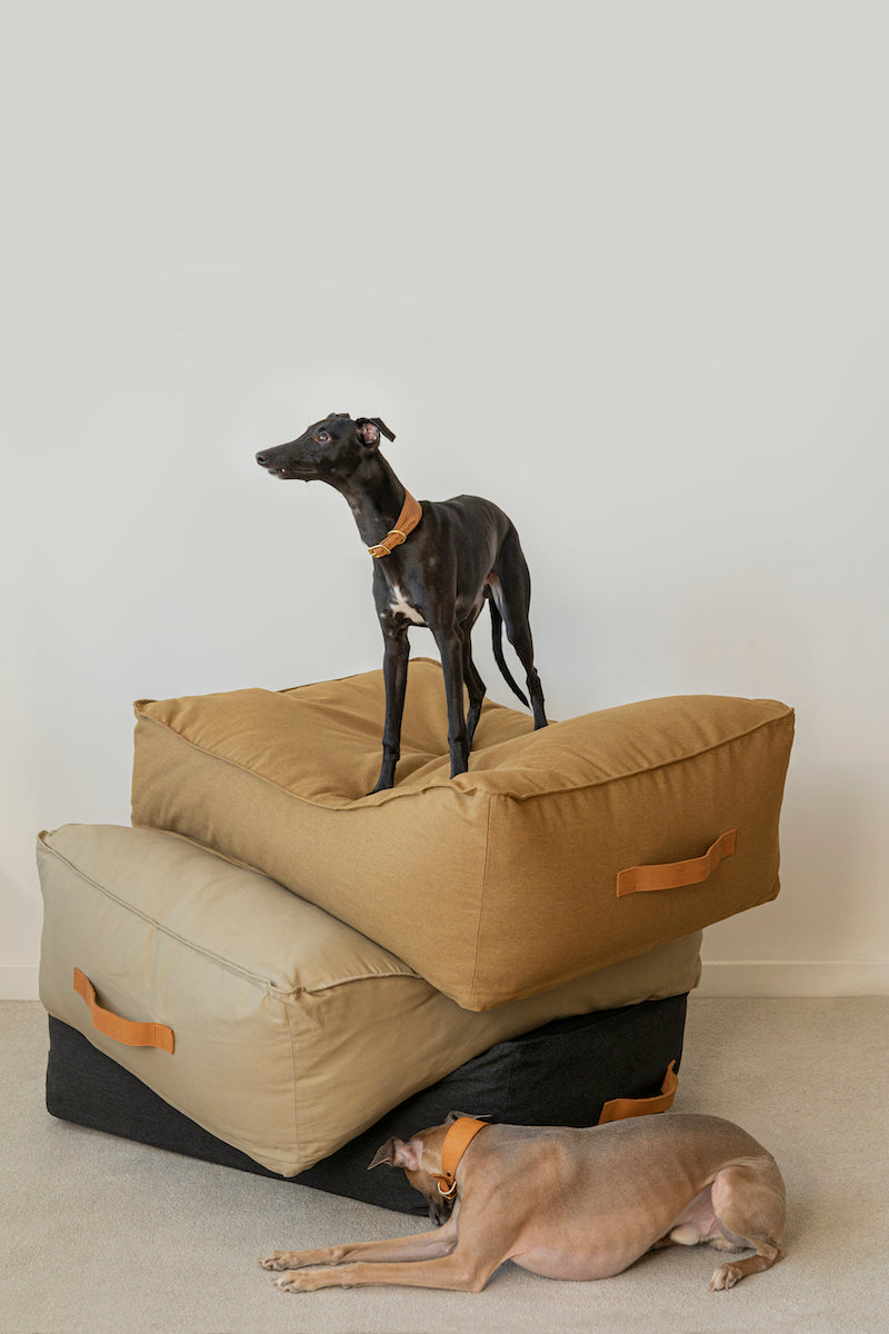 Dog bed Pony trampliny ochre