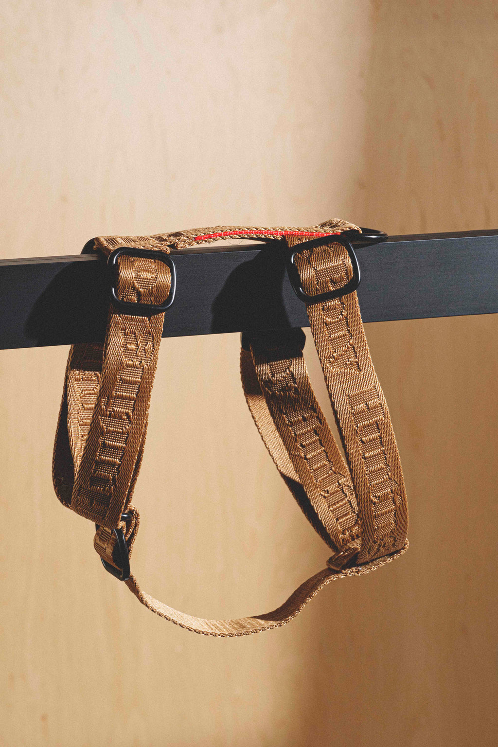 Harness “Pony-Companiony” Ginger