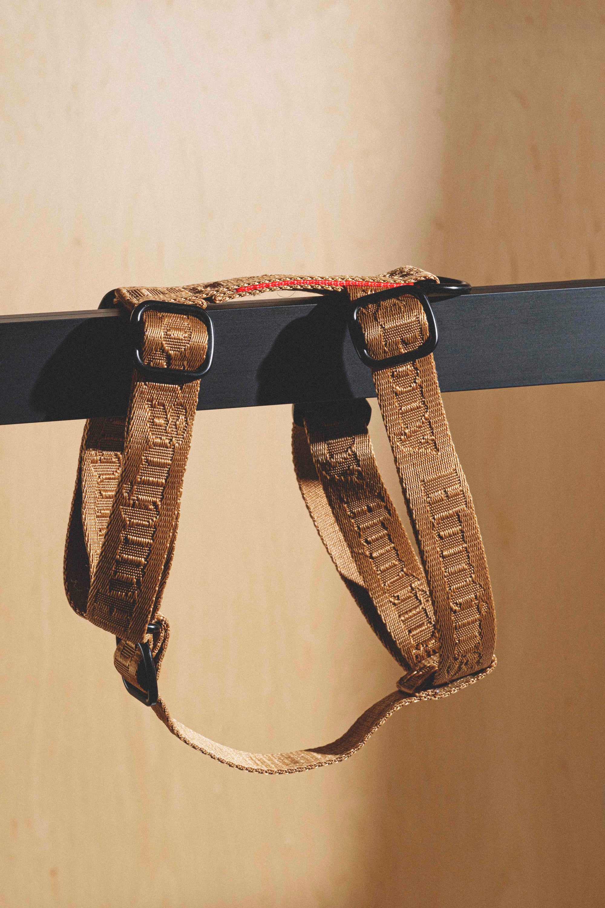 Harness “Pony-Companiony” Ginger