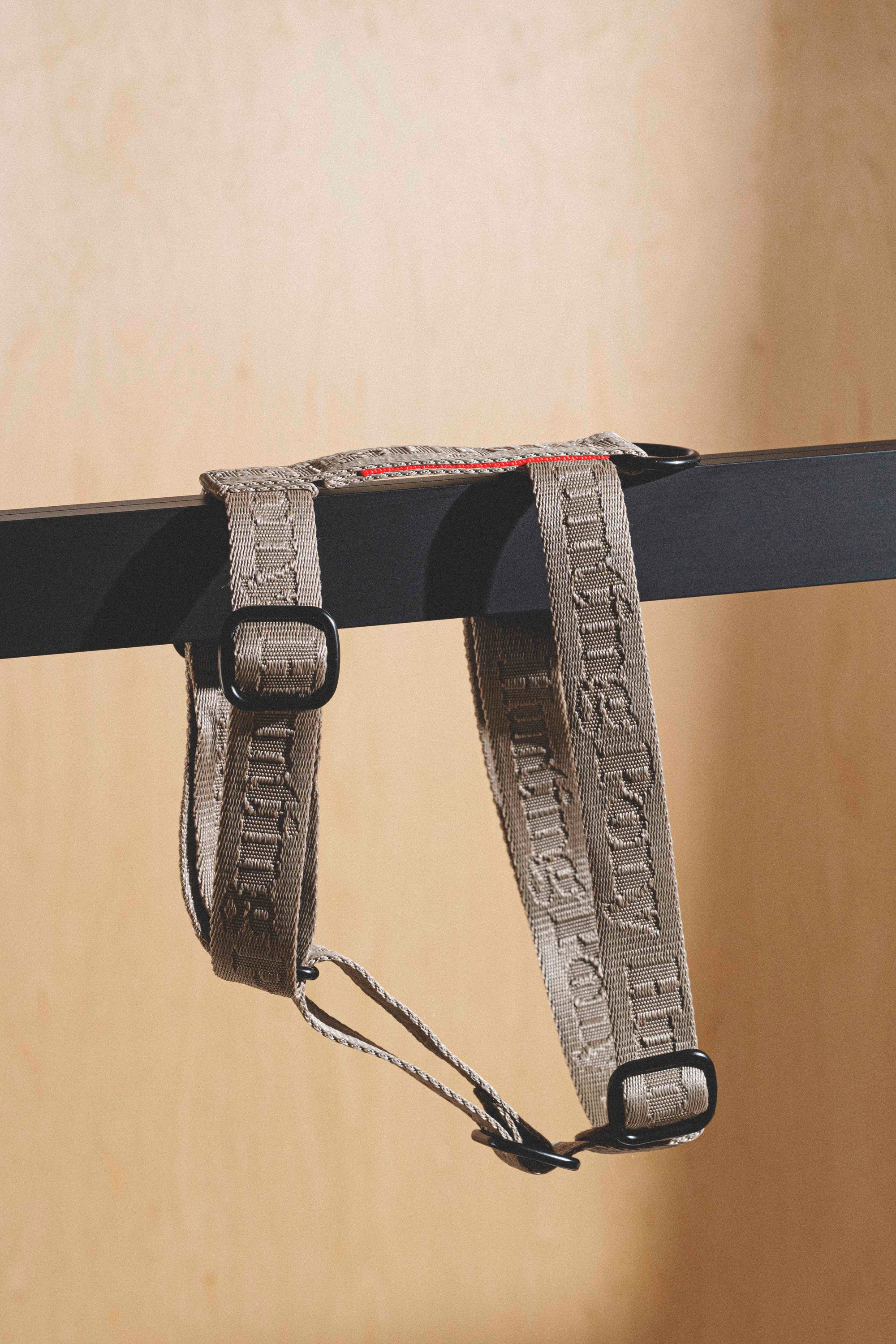 Harness “Pony-Companiony” Gray