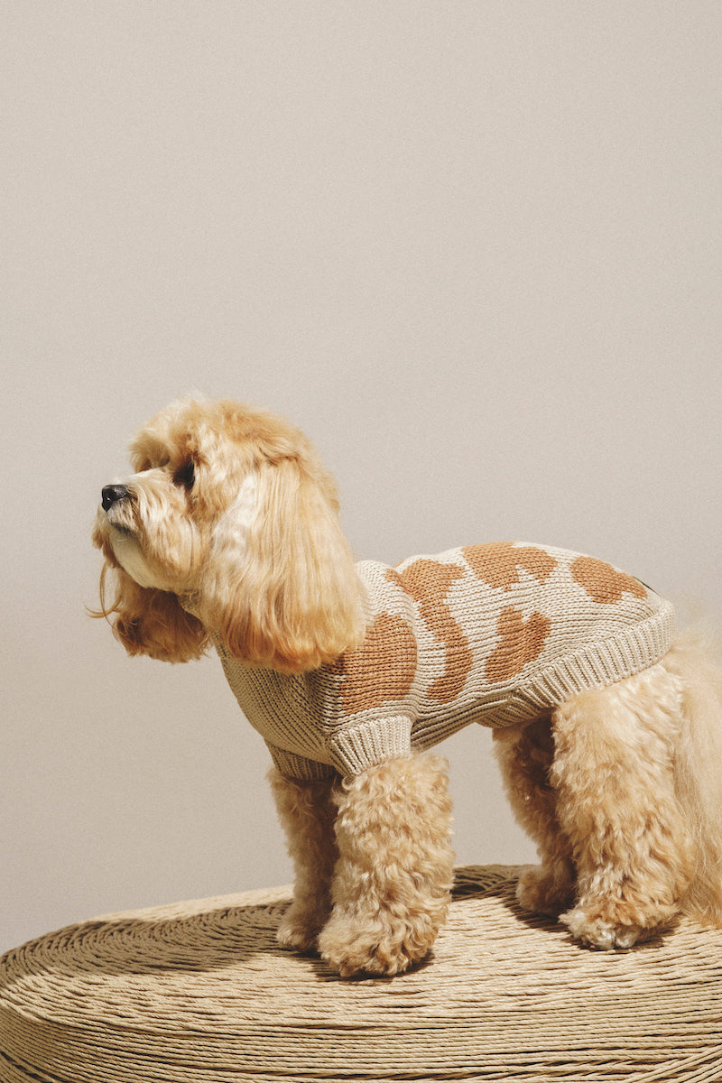 Dog Сardigan "Pony-Cottony" Mushrooms