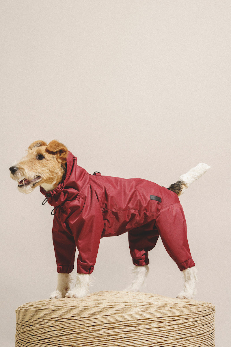 Overall "Pony-Jumpsuitony" Wine