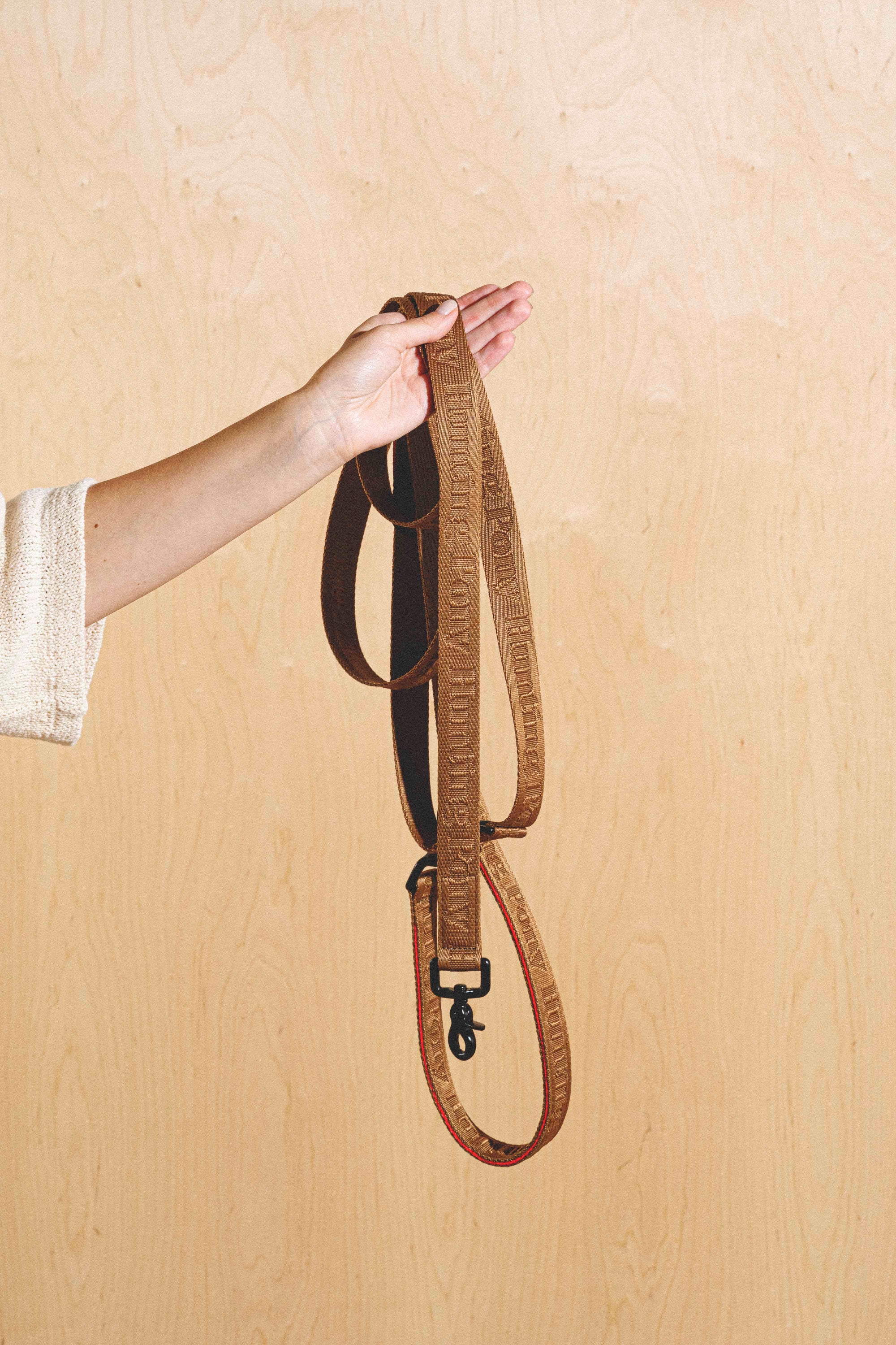 Dog-running leash Pony-Companiony Ginger