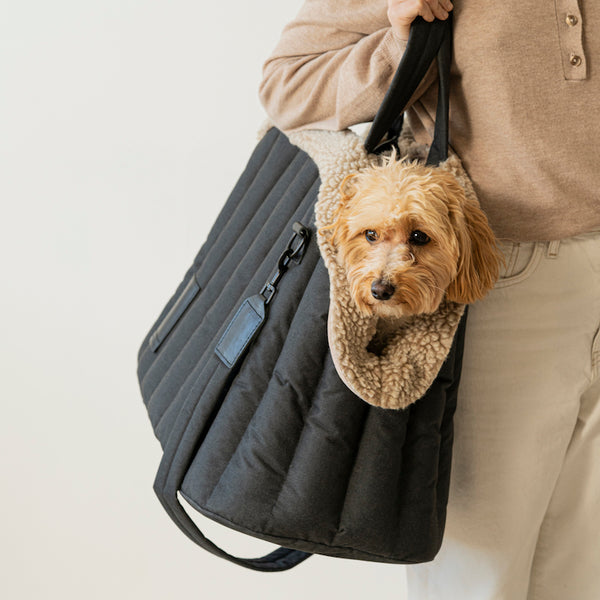 SET: Сarrying Pony bag black + fur case