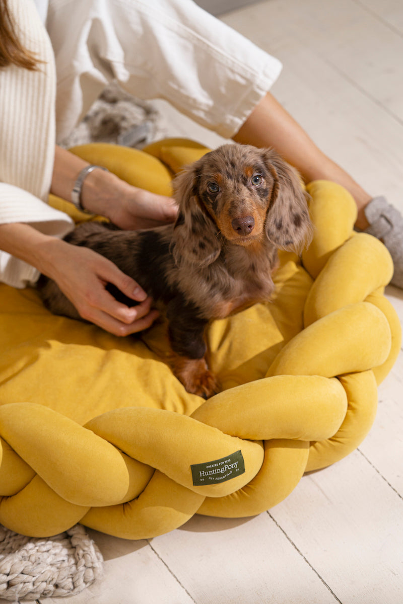 Dog bed Pony kolosony yellow