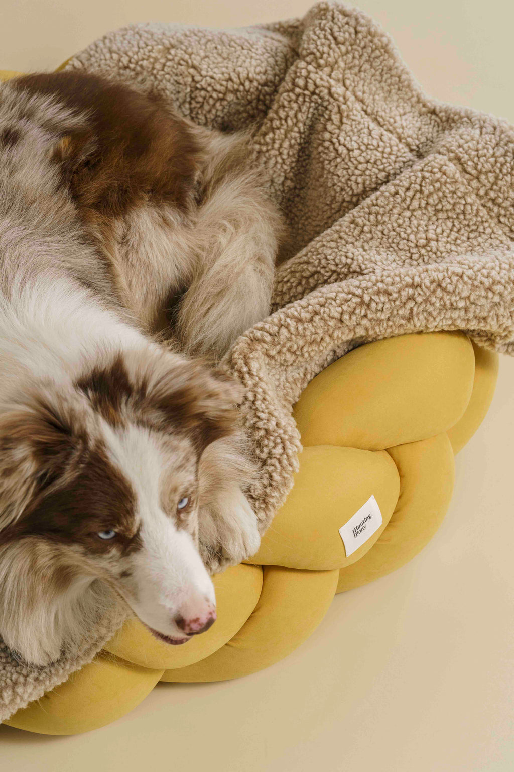 Dog blanket Sleepy-Pony beige