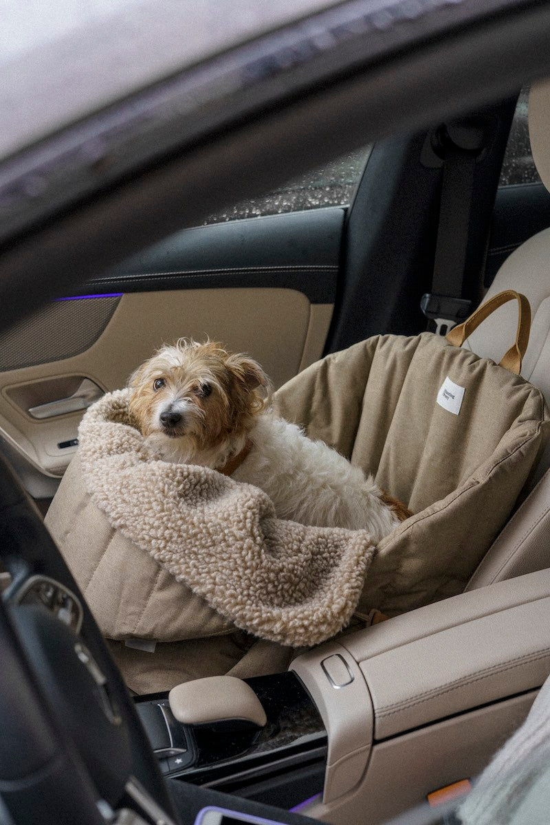 Car seat for dogs beige