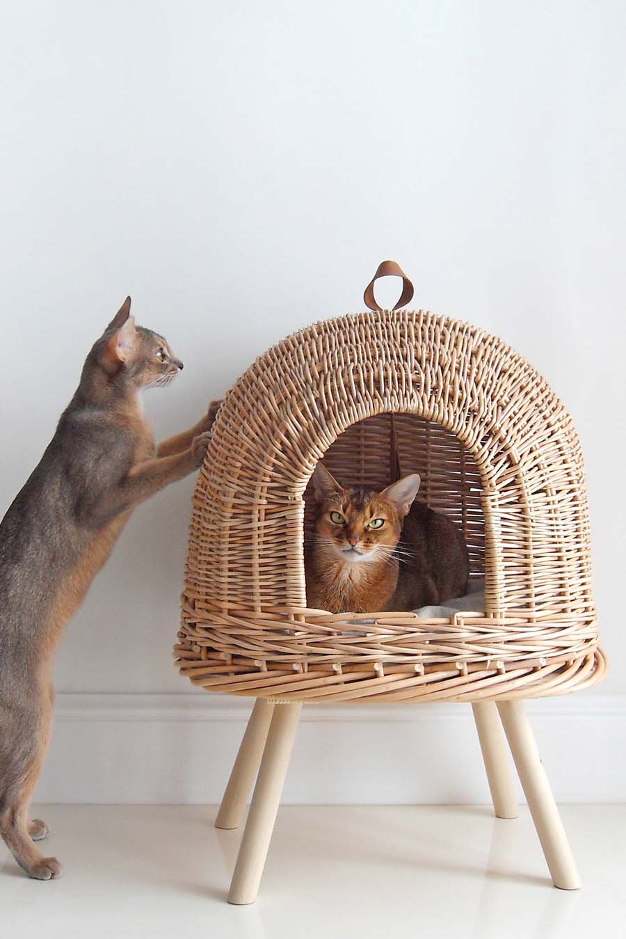 Cat House Pony-UFOny