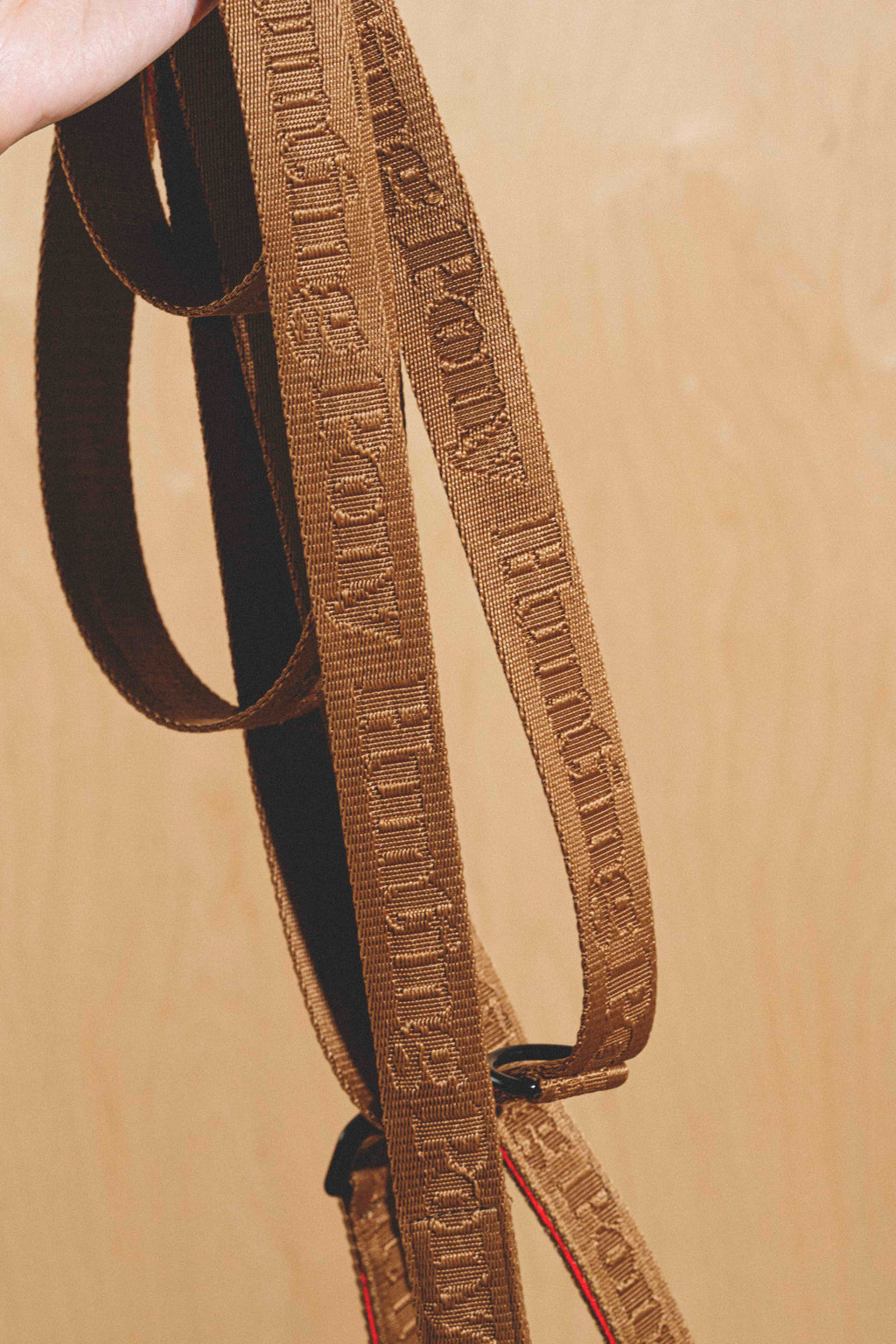Dog-running leash Pony-Companiony Ginger
