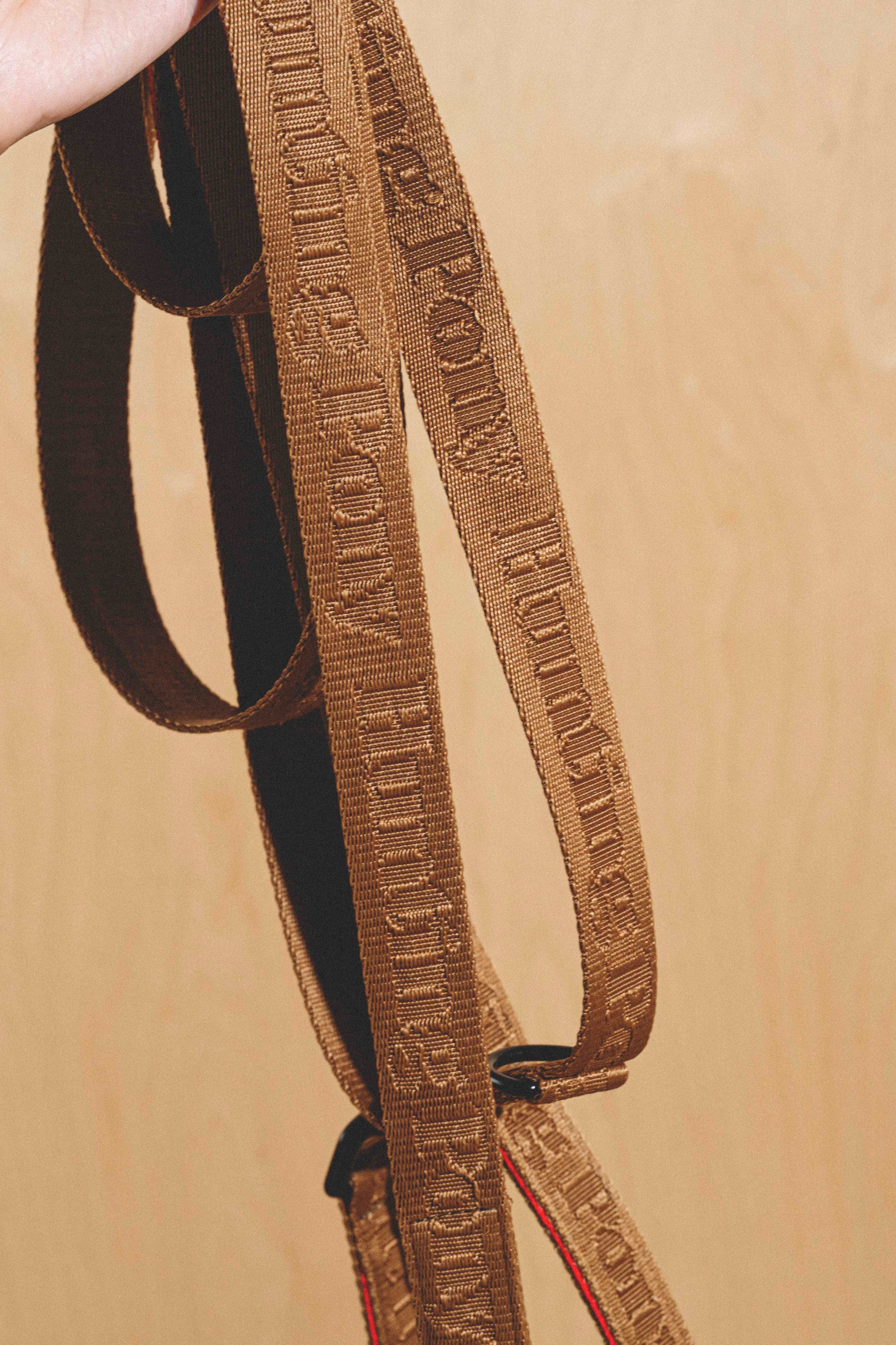 Dog-running leash Pony-Companiony Ginger