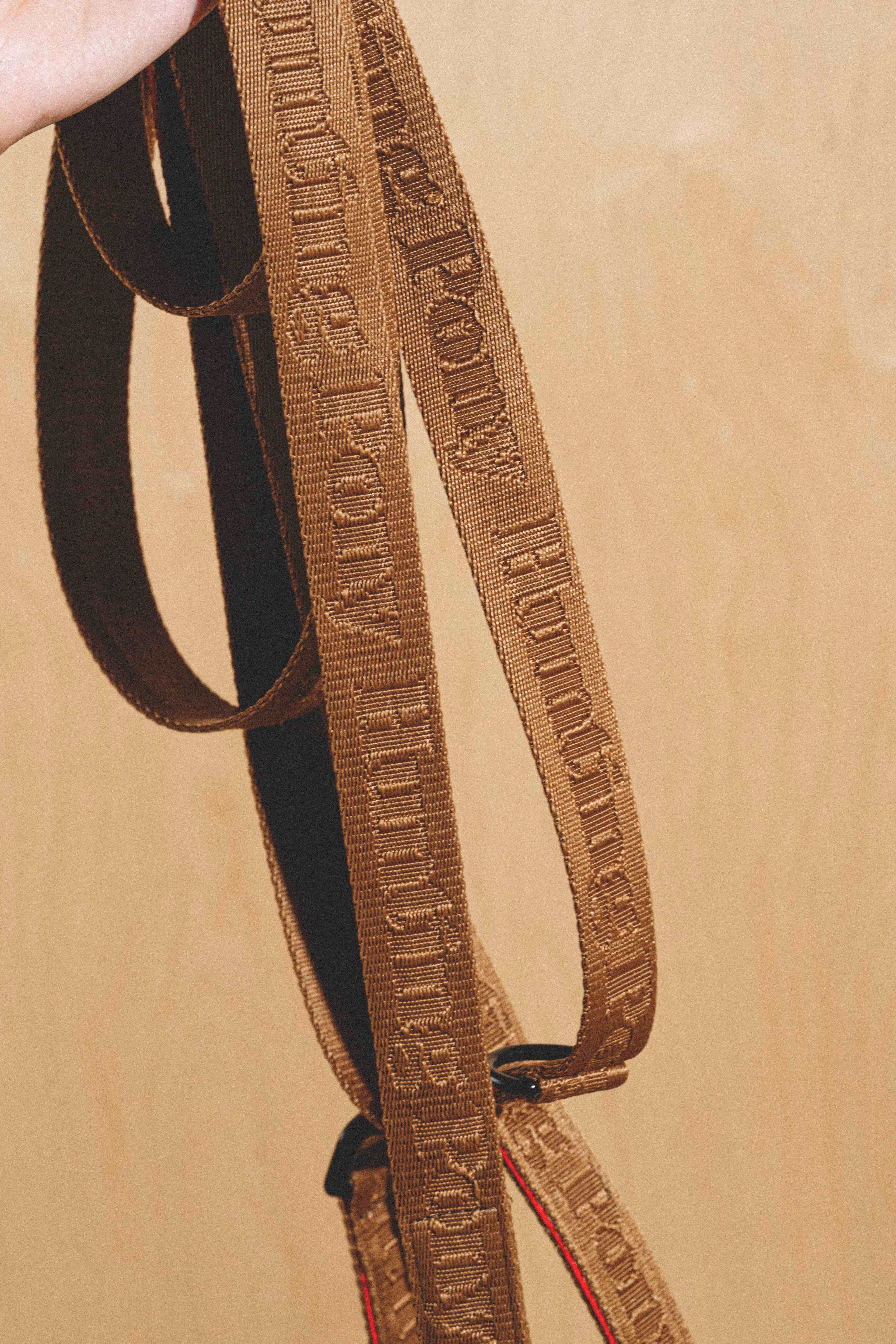 Dog-running leash Pony-Companiony Ginger