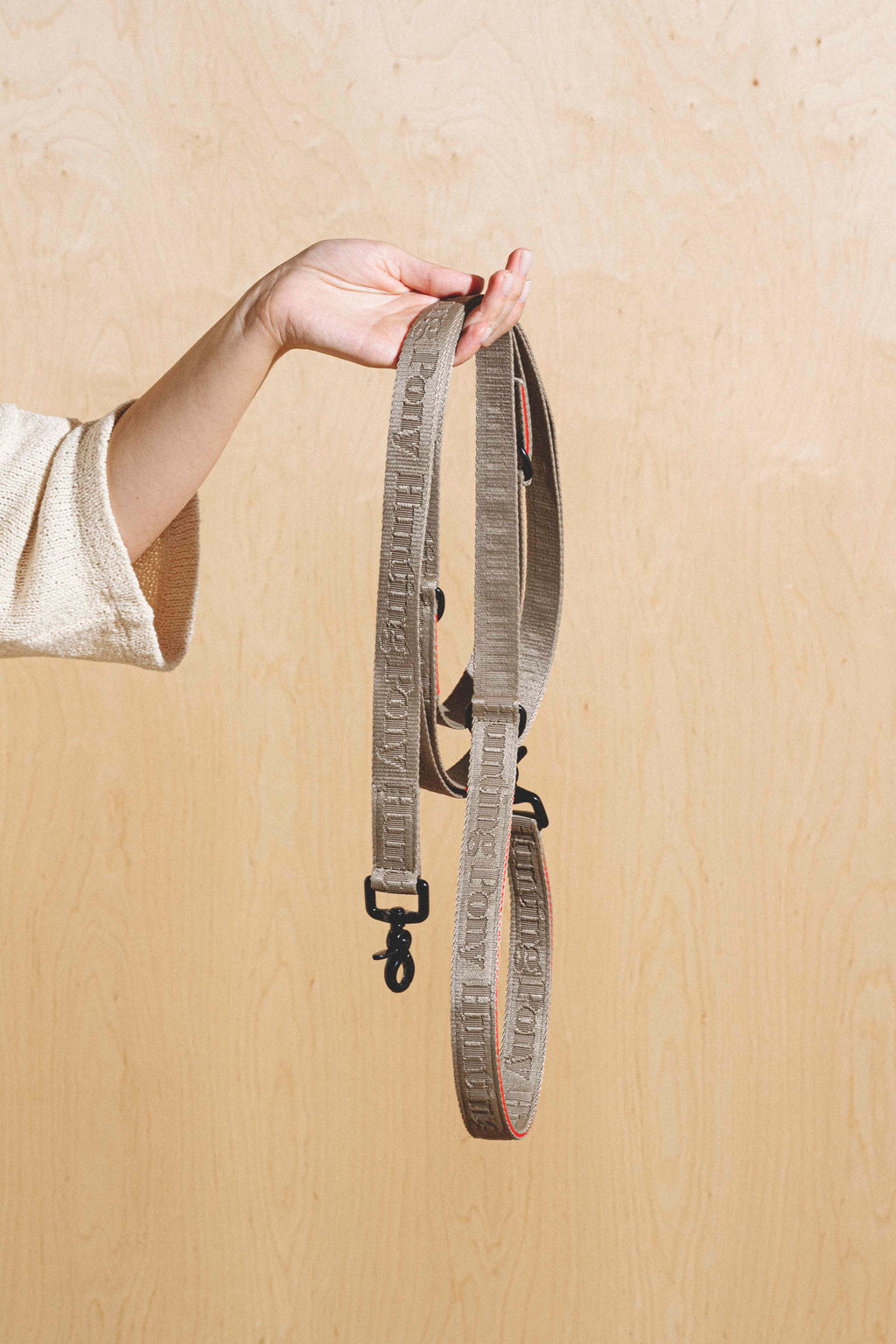 Dog-running leash Pony-Companiony Gray