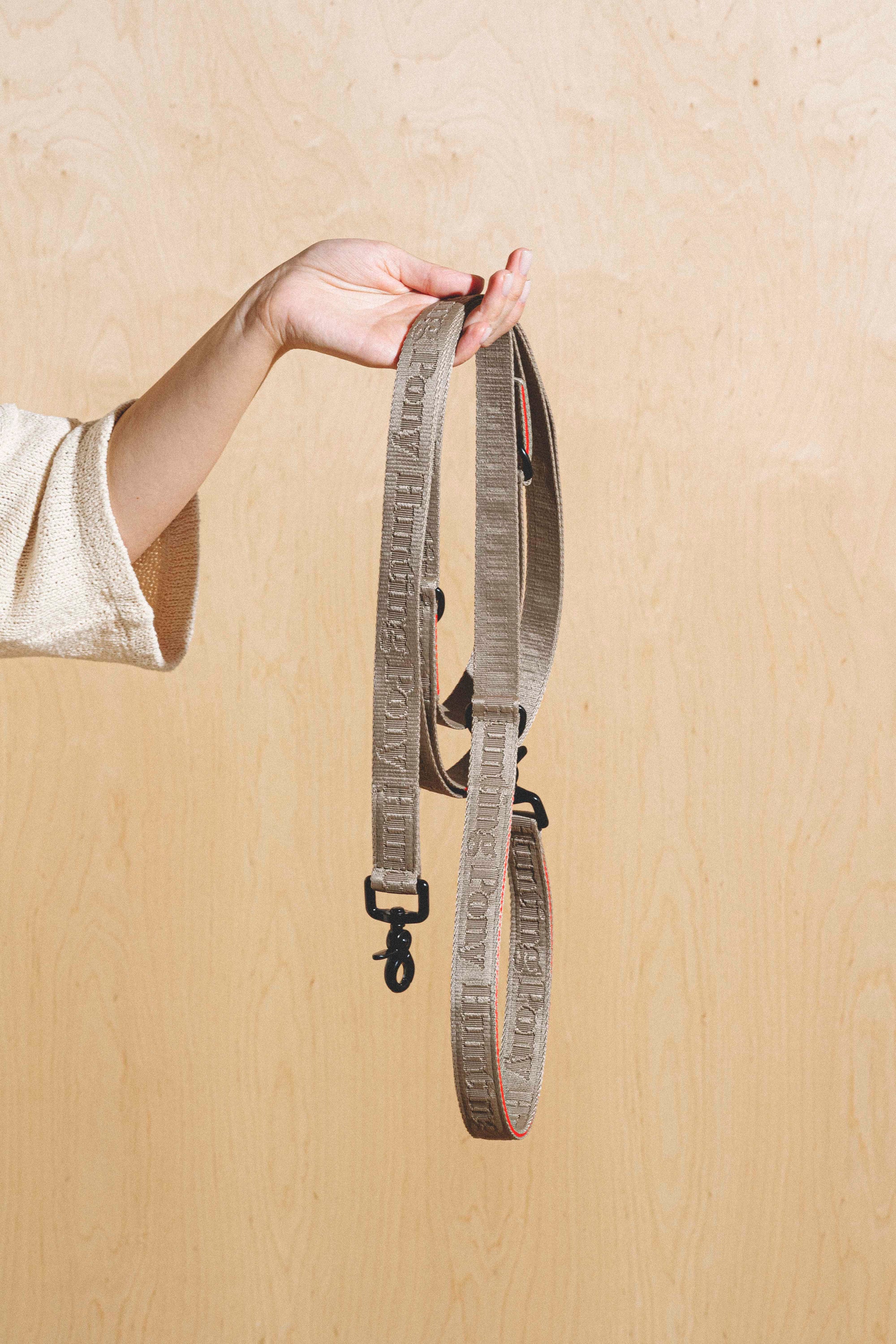 Dog-running leash Pony-Companiony Gray