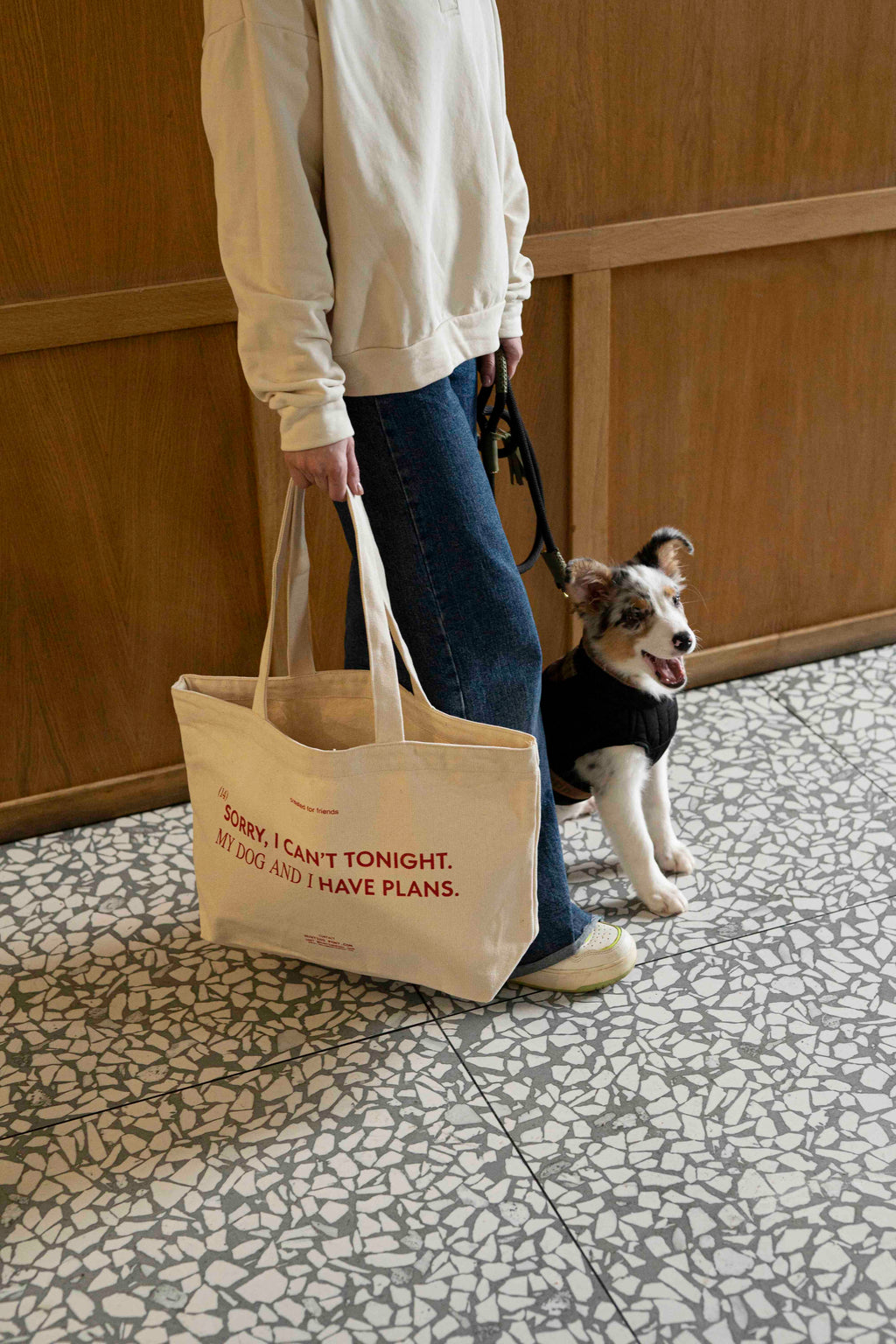 Shopper "Poke-Pony"