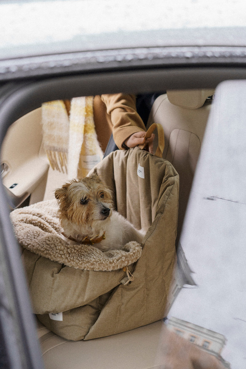 Car seat for dogs beige