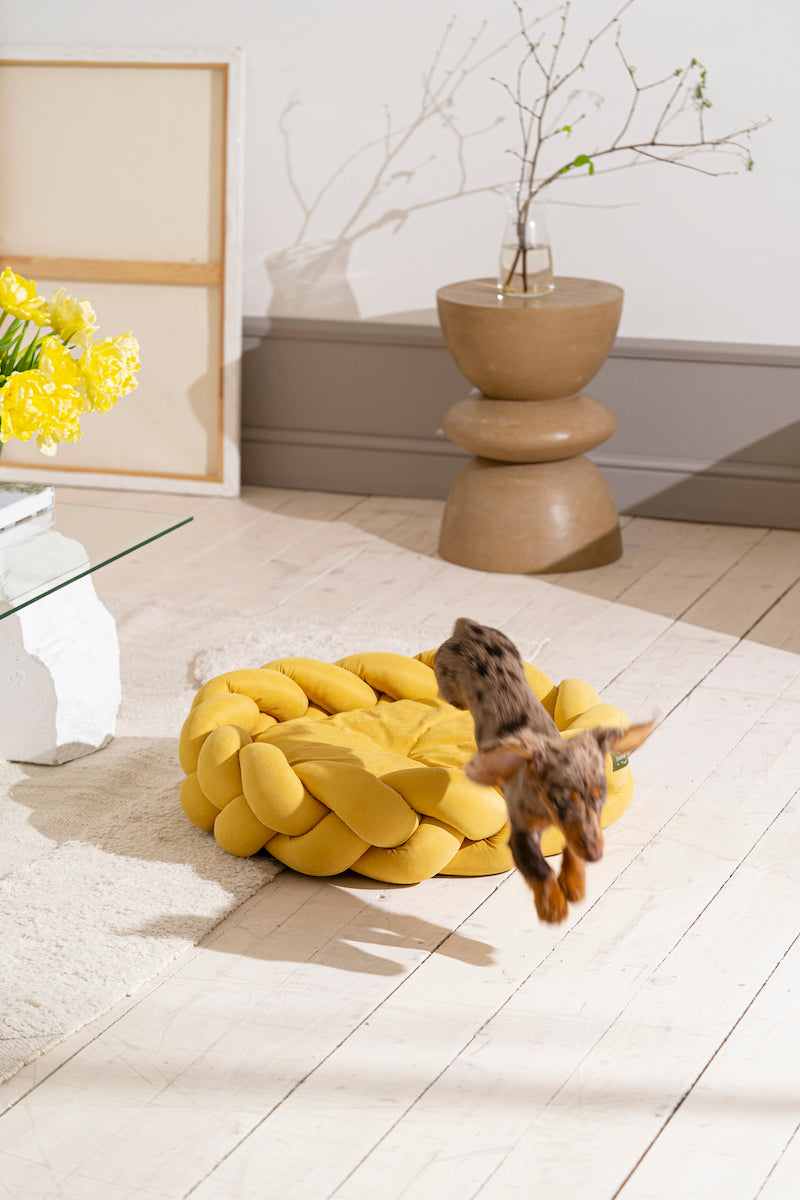 Dog bed Pony kolosony yellow