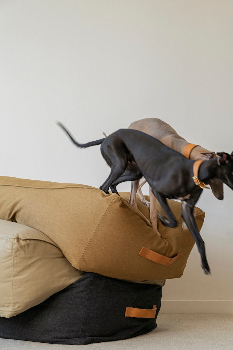 Dog bed Pony trampliny ochre