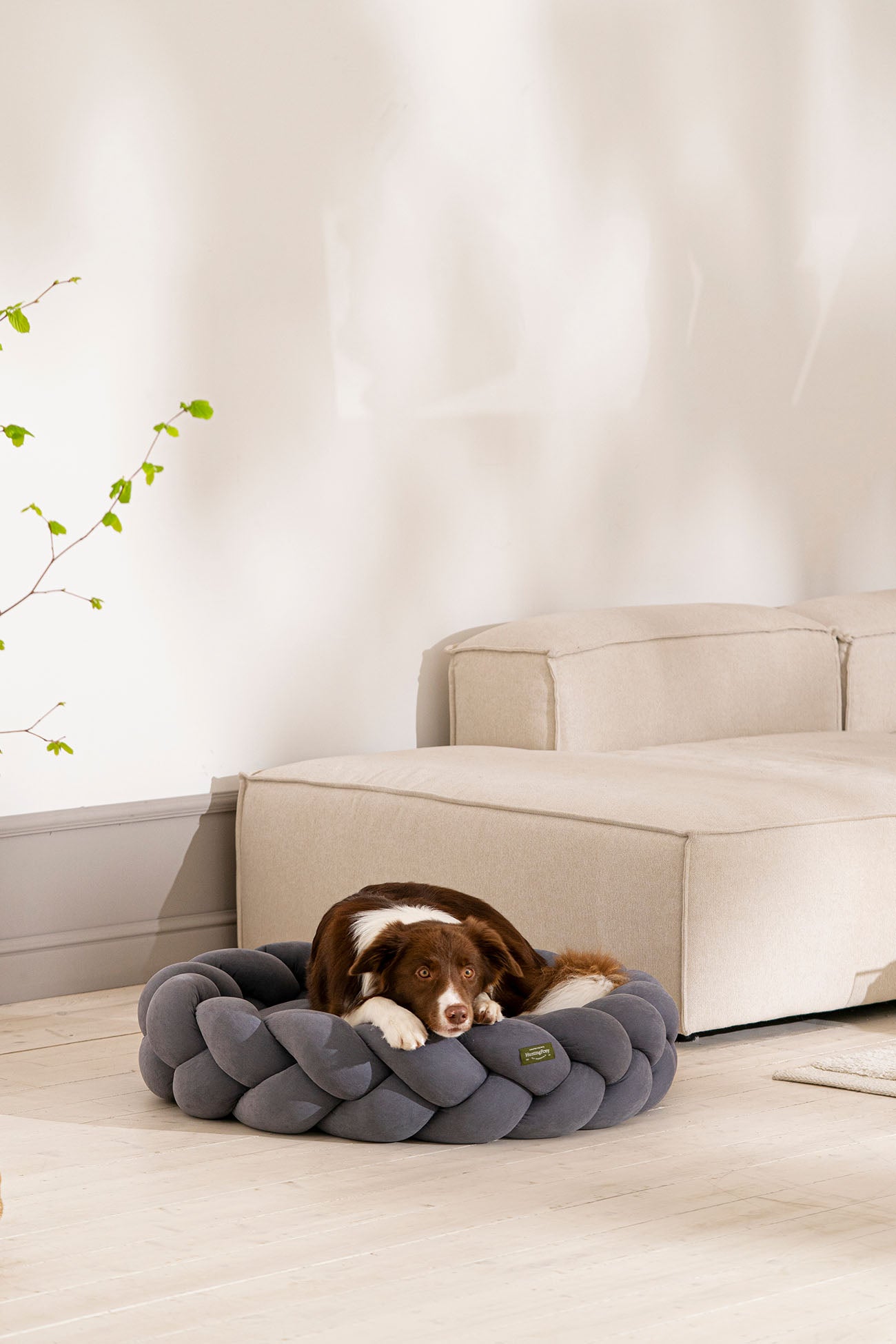 Dog bed Pony kolosony dark gray