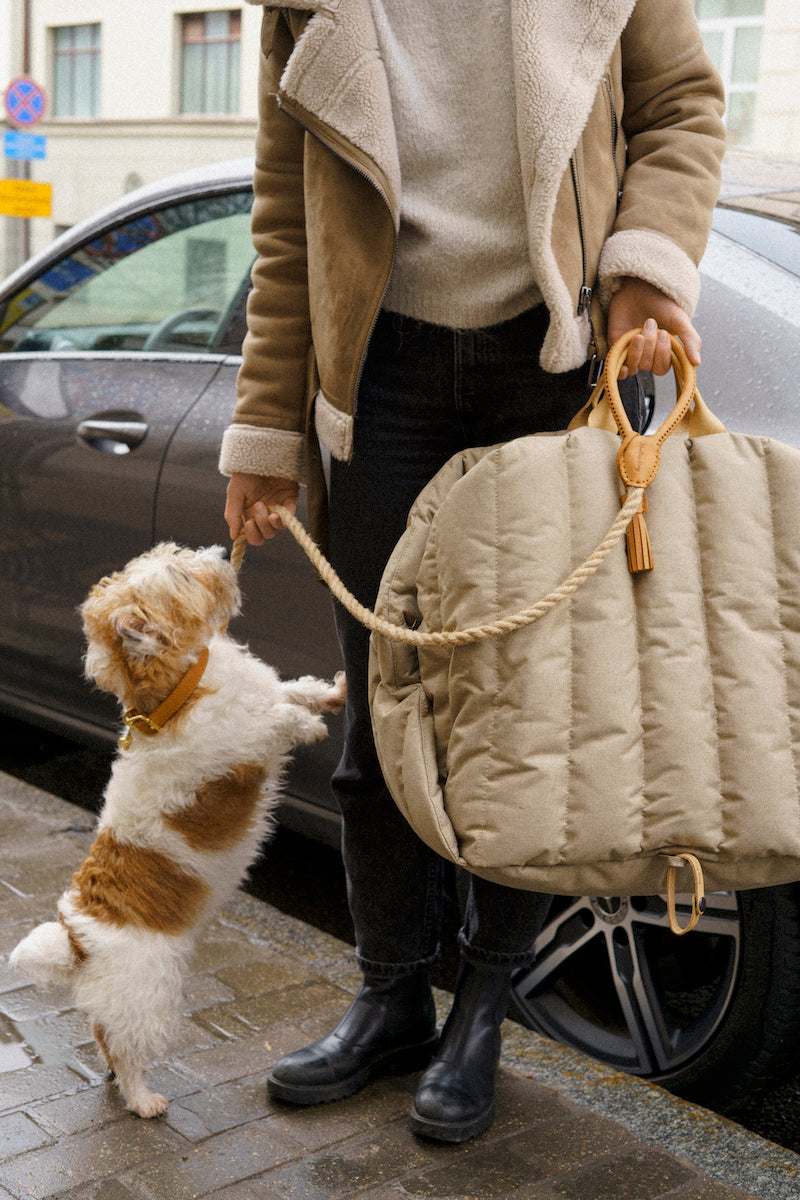 Car seat for dogs beige