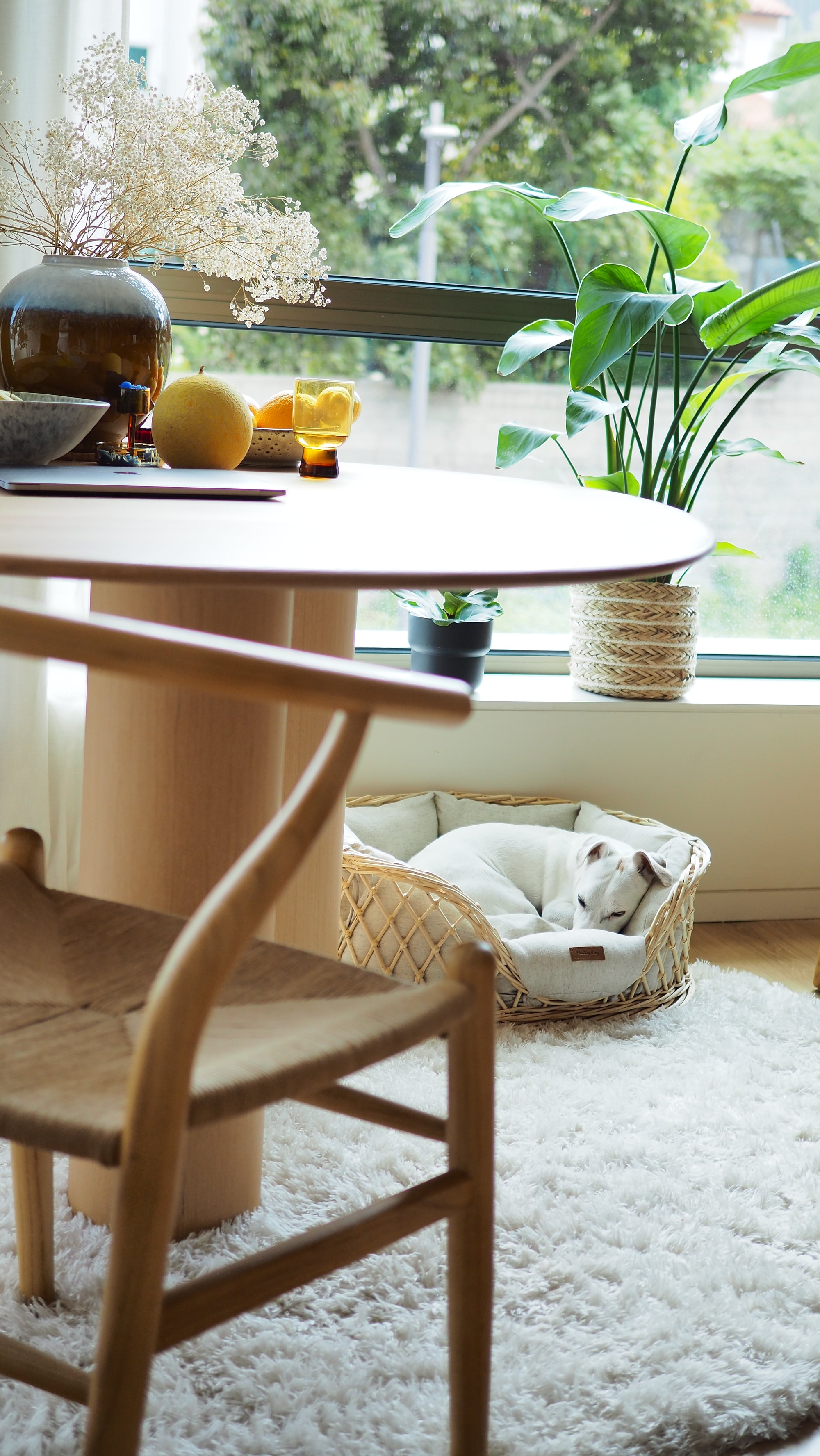 Dog bed Pony balcony