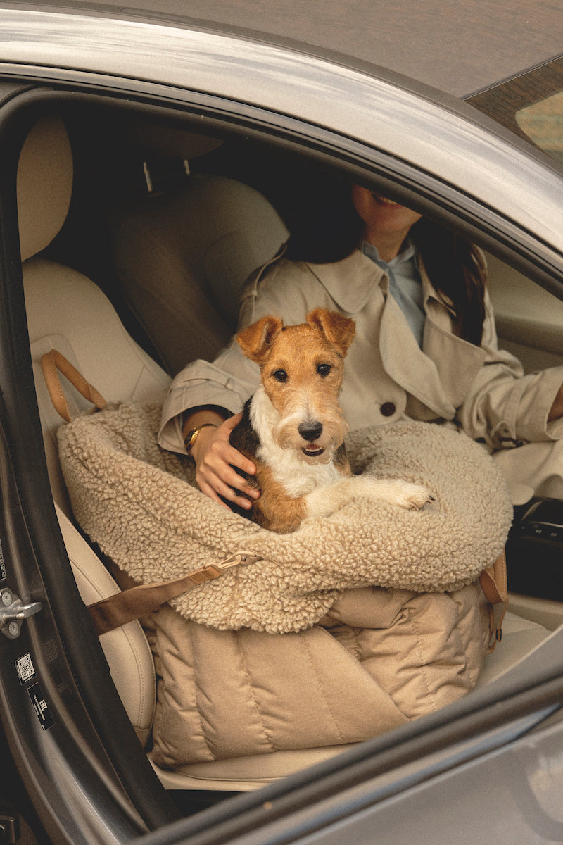 Car seat for dogs beige