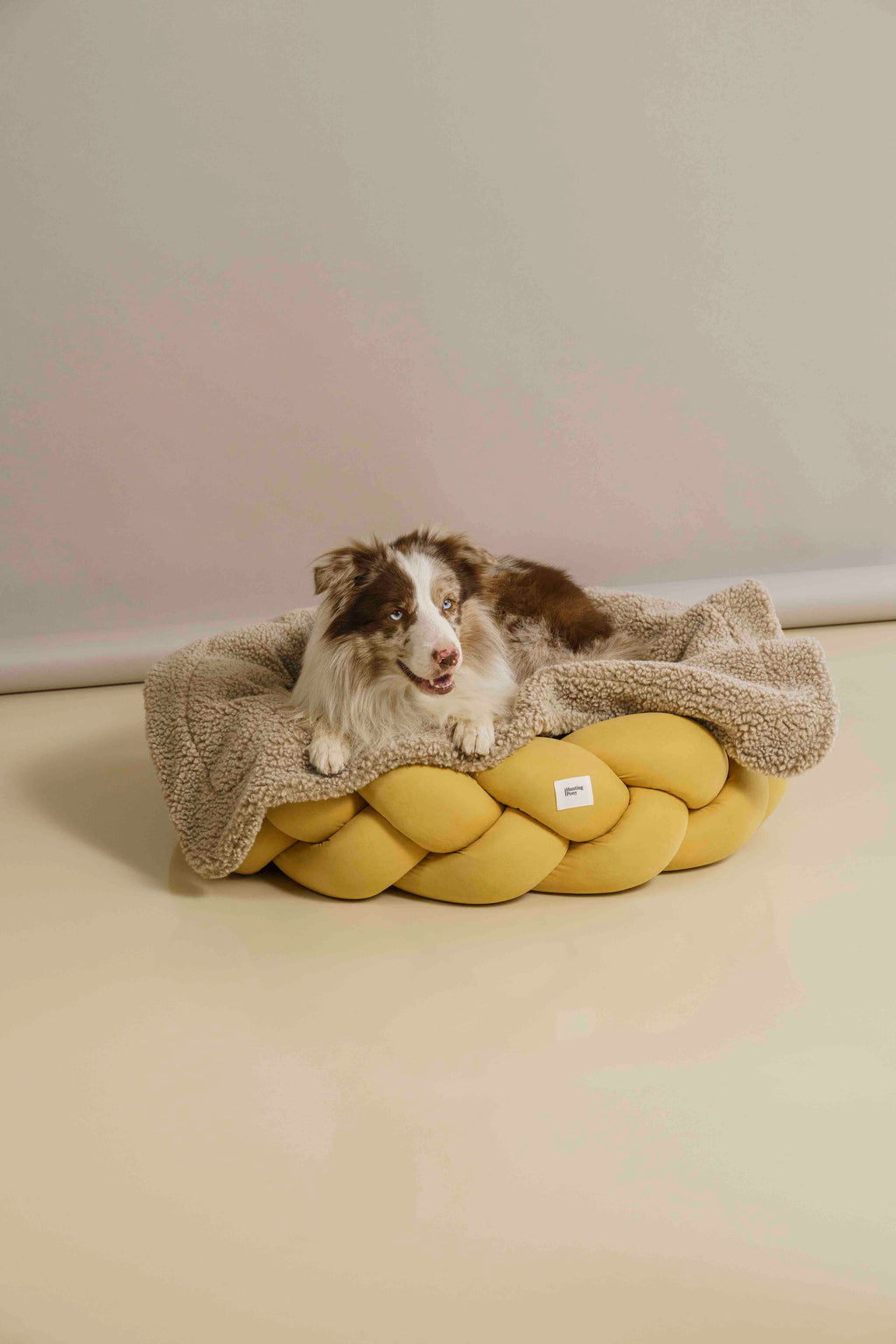 Dog blanket Sleepy-Pony beige
