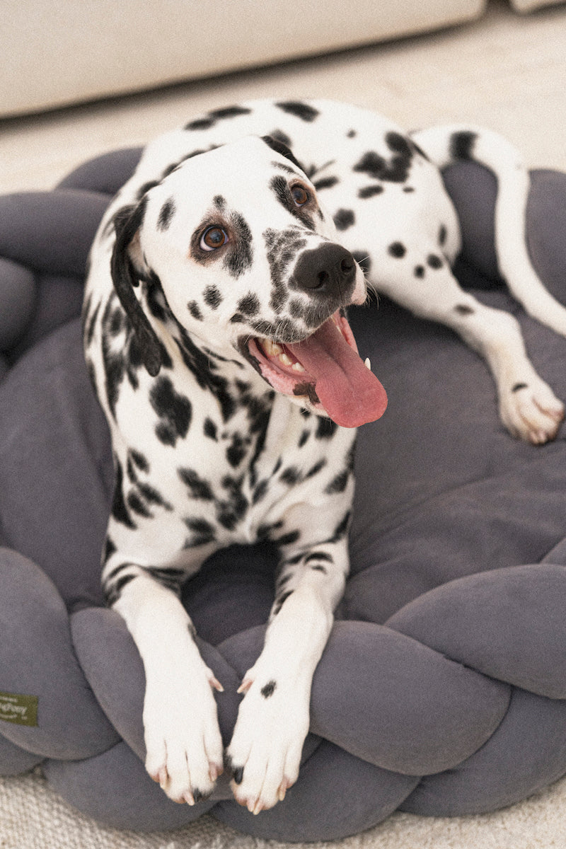 Dog bed Pony kolosony dark gray