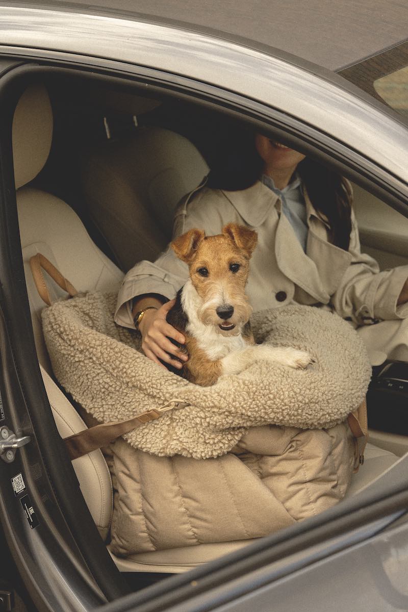 Fur case for dog car seat