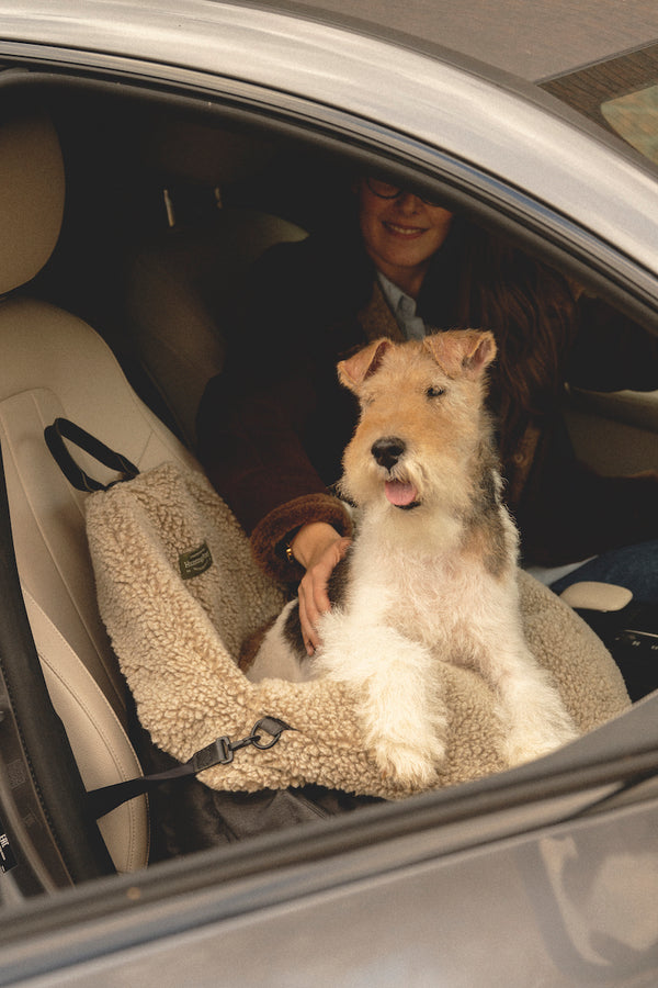 SET: Car seat for dogs black + fur case