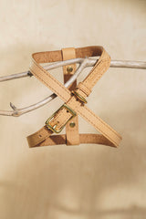 Leather harness "The eight" Ginger