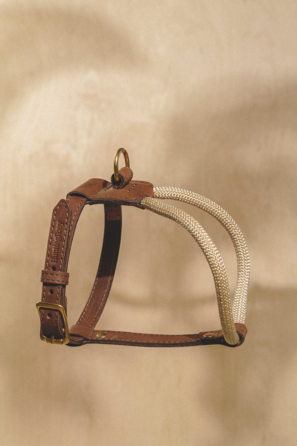 Dog Harness Pony Makarony Brown, light rope