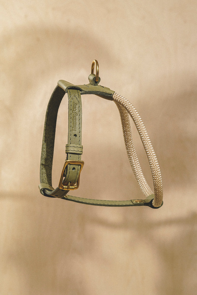 Harness Pony Makarony Green, light rope
