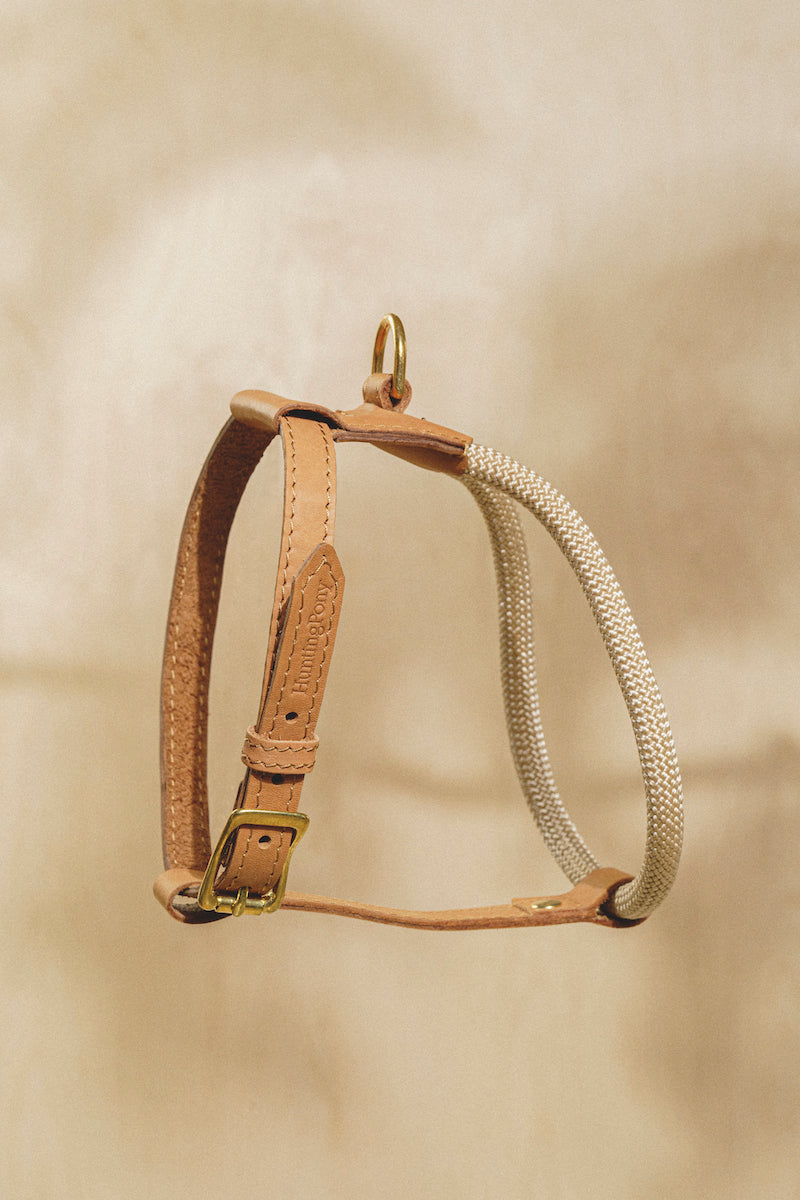 Dog Harness Pony Makarony Ginger, light rope
