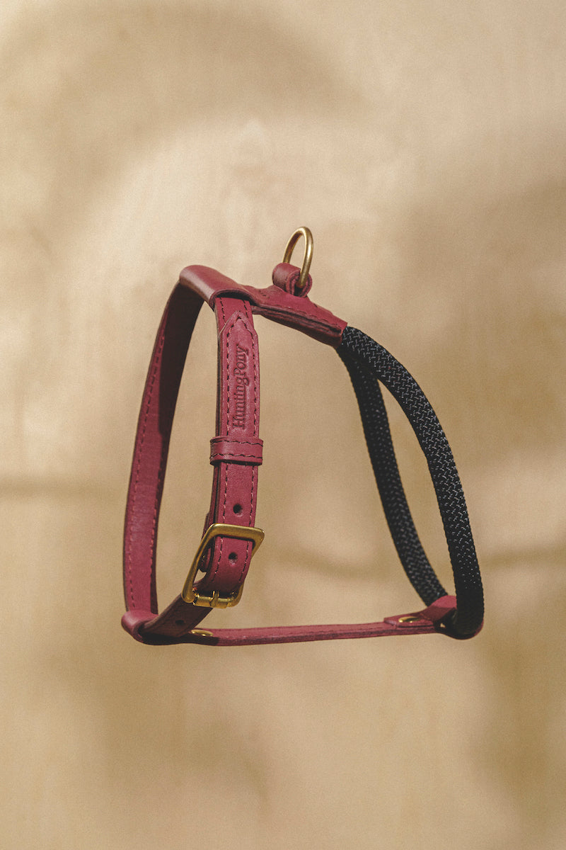 Dog Harness Pony Makarony Wine