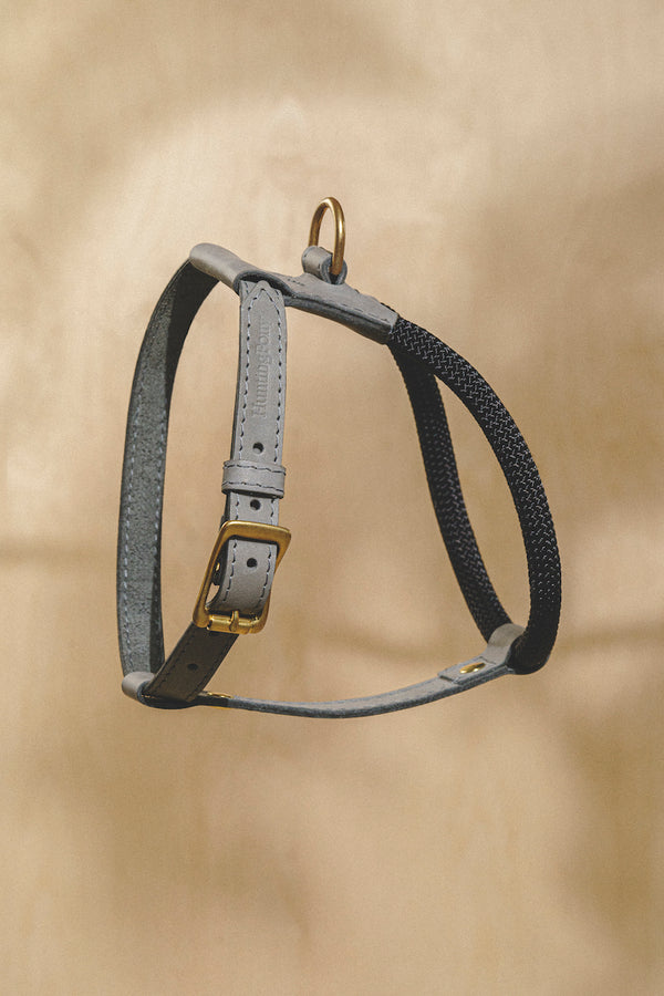 Dog Harness Pony Makarony Graphite