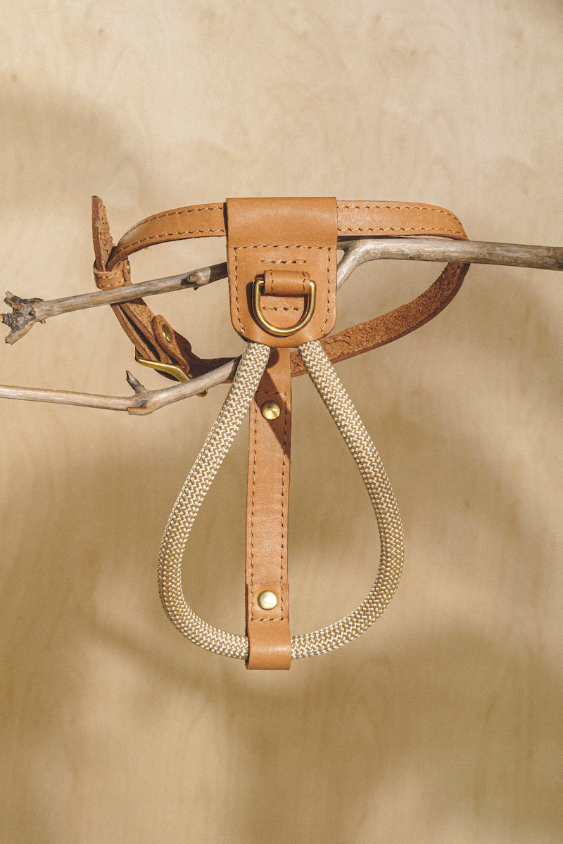 Dog Harness Pony Makarony Ginger, light rope