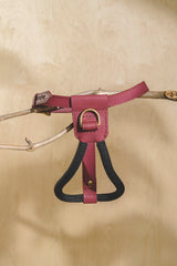 Dog Harness Pony Makarony Wine