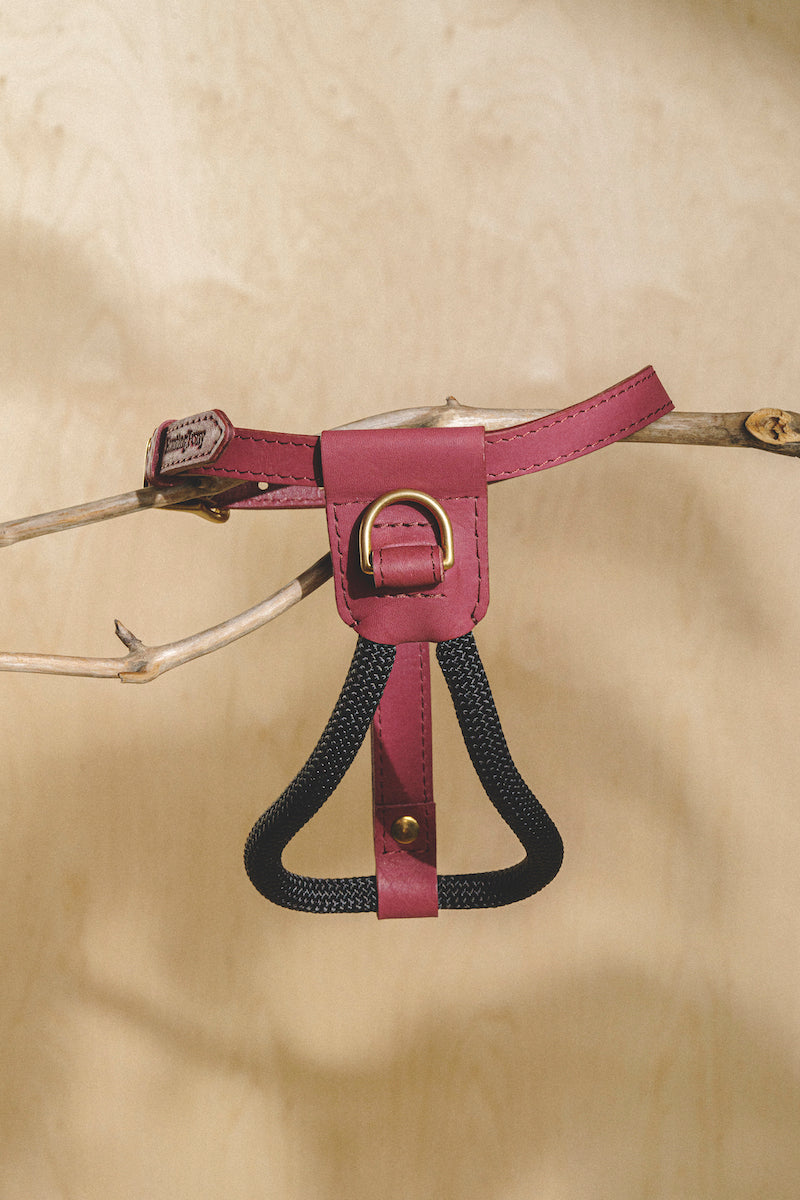 Dog Harness Pony Makarony Wine