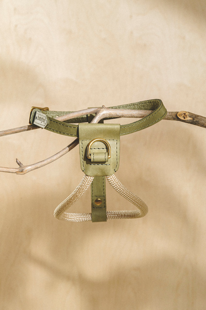 Harness Pony Makarony Green, light rope