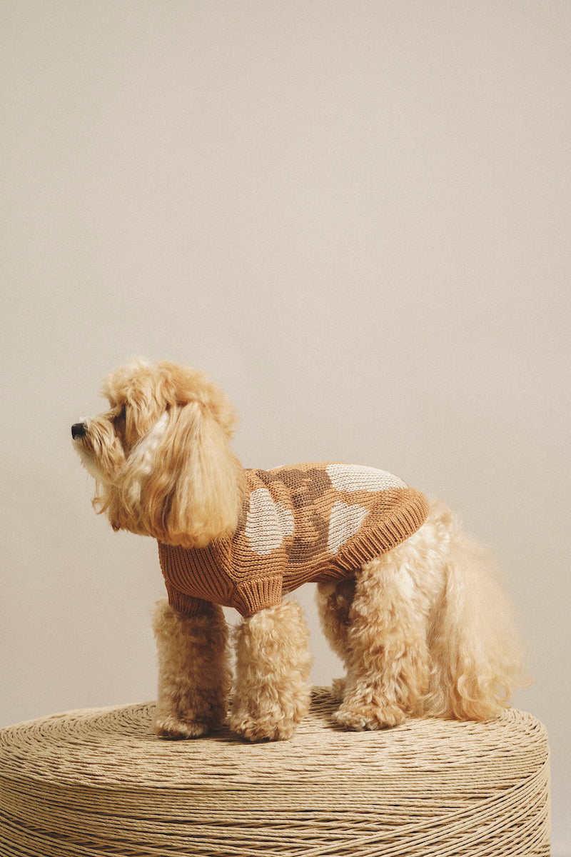 Dog Сardigan "Pony-Cottony" Radishes