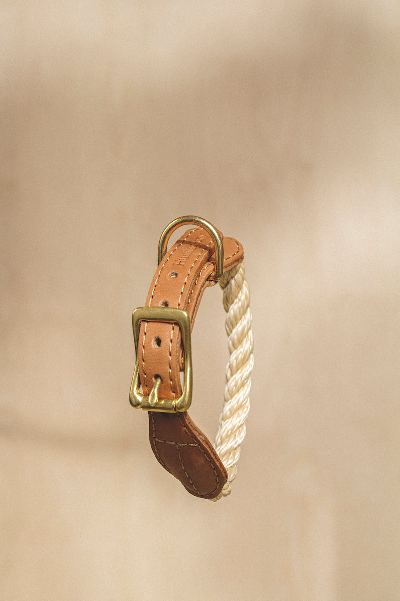 Walk kit: Country leash + collar ginger