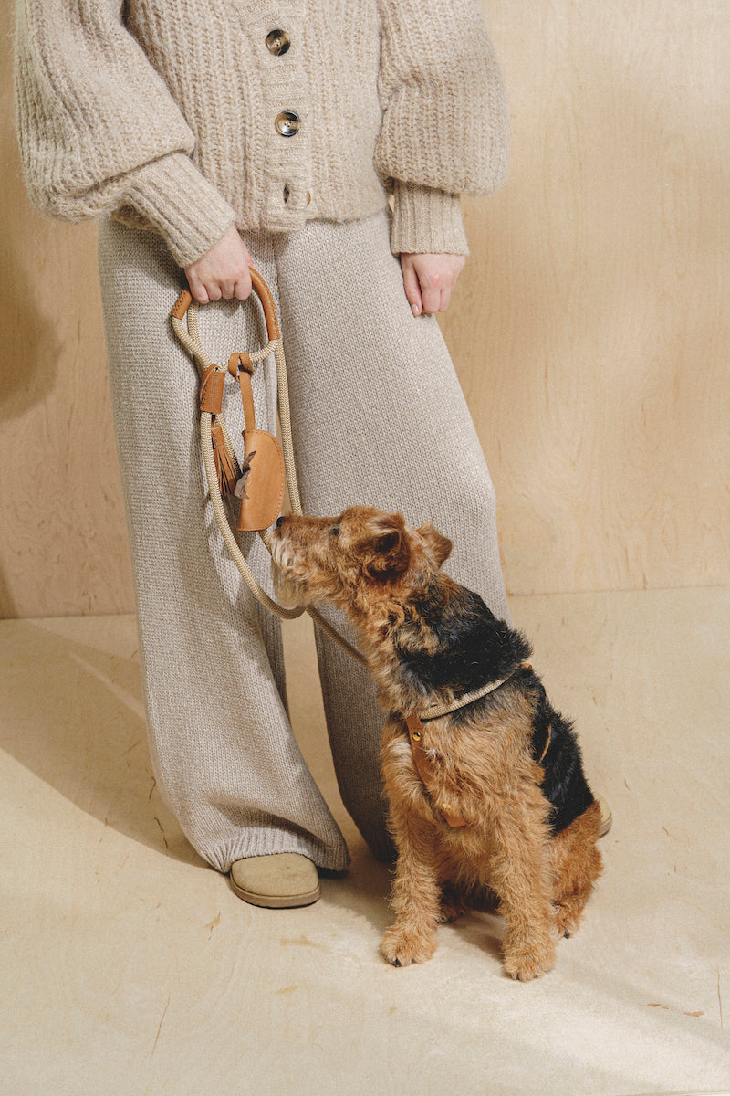 Dog leash Pony makarony Ginger, light rope
